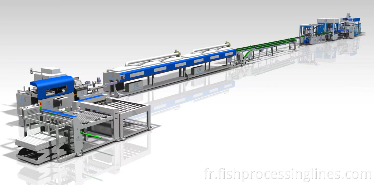 Ligne de production de boîte à vente chaude pour plante